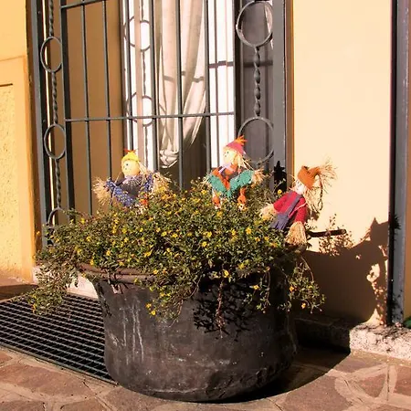 La Betulla Introbio