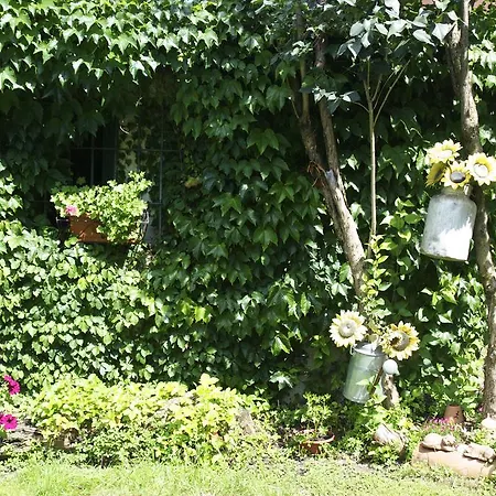 Bed & Breakfast La Betulla